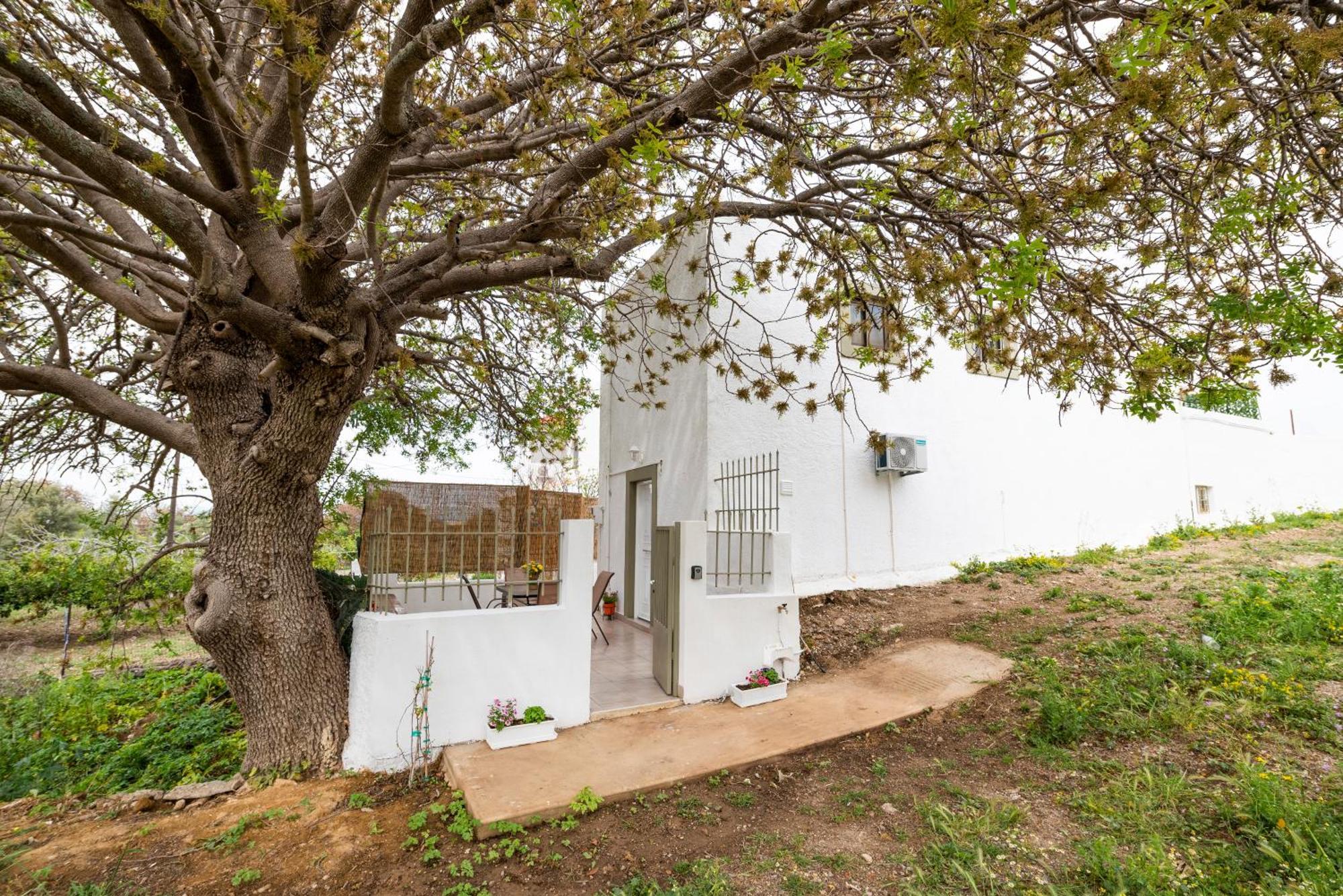 Traditional Suburbs Maisonette Kos Town Exterior photo